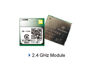 2.4 GHz Module