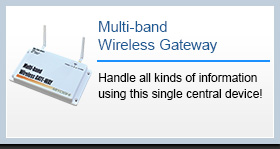 Multi-band Wireless Gateway